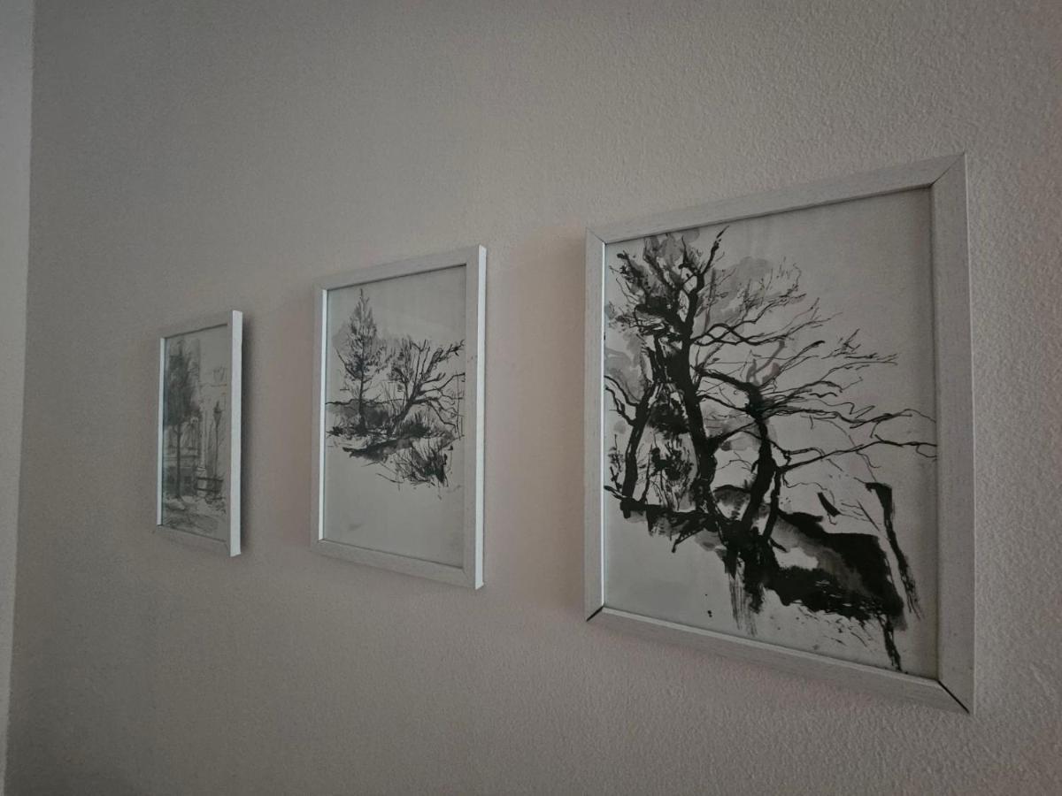 Apartman Zeljko โมสตาร์ ภายนอก รูปภาพ
